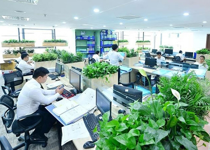 mulberry-lane1
