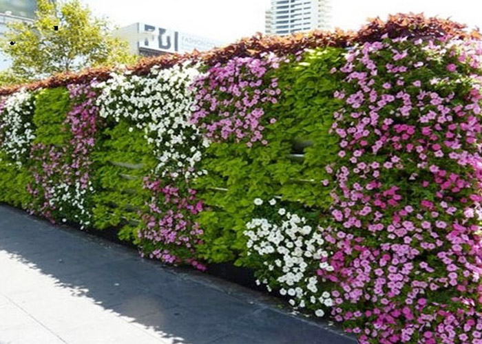 mulberry-lane1