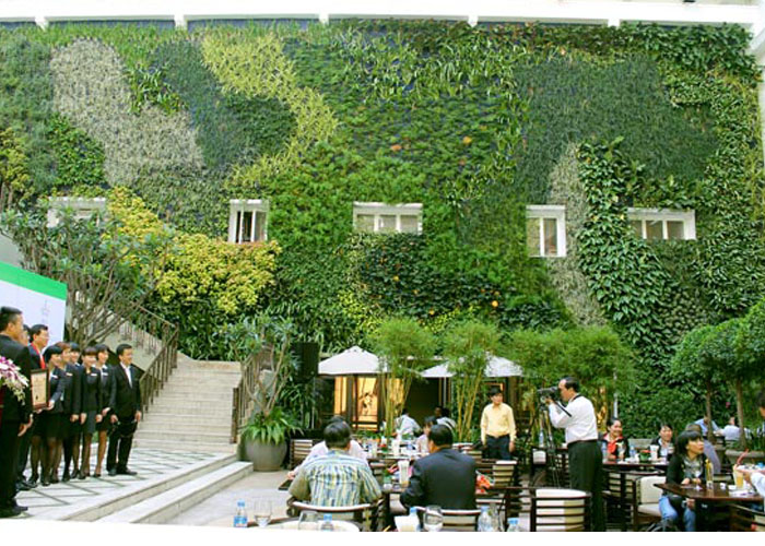 mulberry-lane1