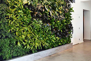 vinpearl-condotel-da-nang1