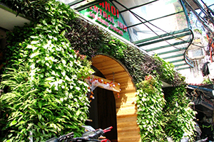 mulberry-lane1