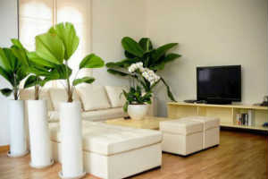 vinpearl-condotel-da-nang1