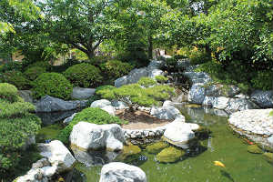 mulberry-lane1