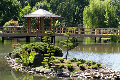 thiet-ke-san-vuon%20%20(18)