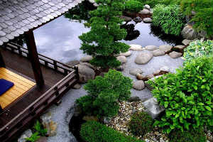 chung-cu-thap-doanh-nhan1
