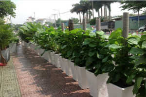 mulberry-lane1